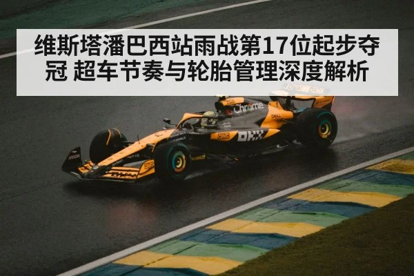 维斯塔潘巴西站雨战第17位起步夺冠 超车节奏与轮胎管理深度解析